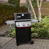 SPIRIT E-335 LP IT