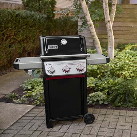 SPIRIT E-335 LP IT