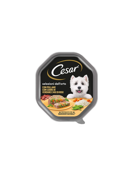 Cesar cuore di verdure vaschette per cani 150 gr