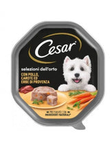 cesar selezioni dell'orto vaschette per cani 150 gr