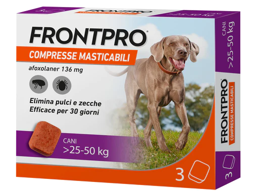 FRONTPRO