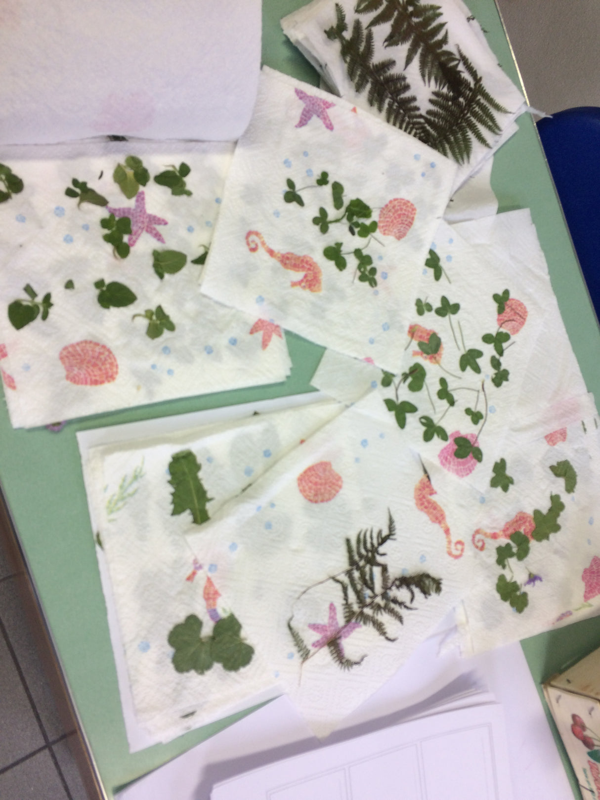 Laboratorio Arte e Natura : Foglie e colori d'autunno - 25/10/2025 ore 15.00