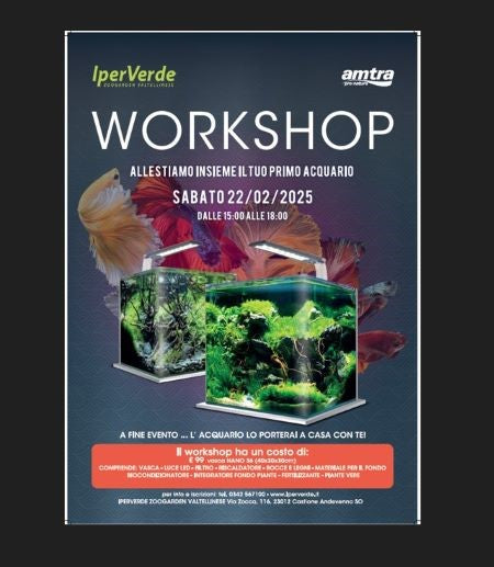 Workshop Allestiamo insieme il tuo nuovo acquario - 22/02/25 dalle ore 15.00 alle 17.30