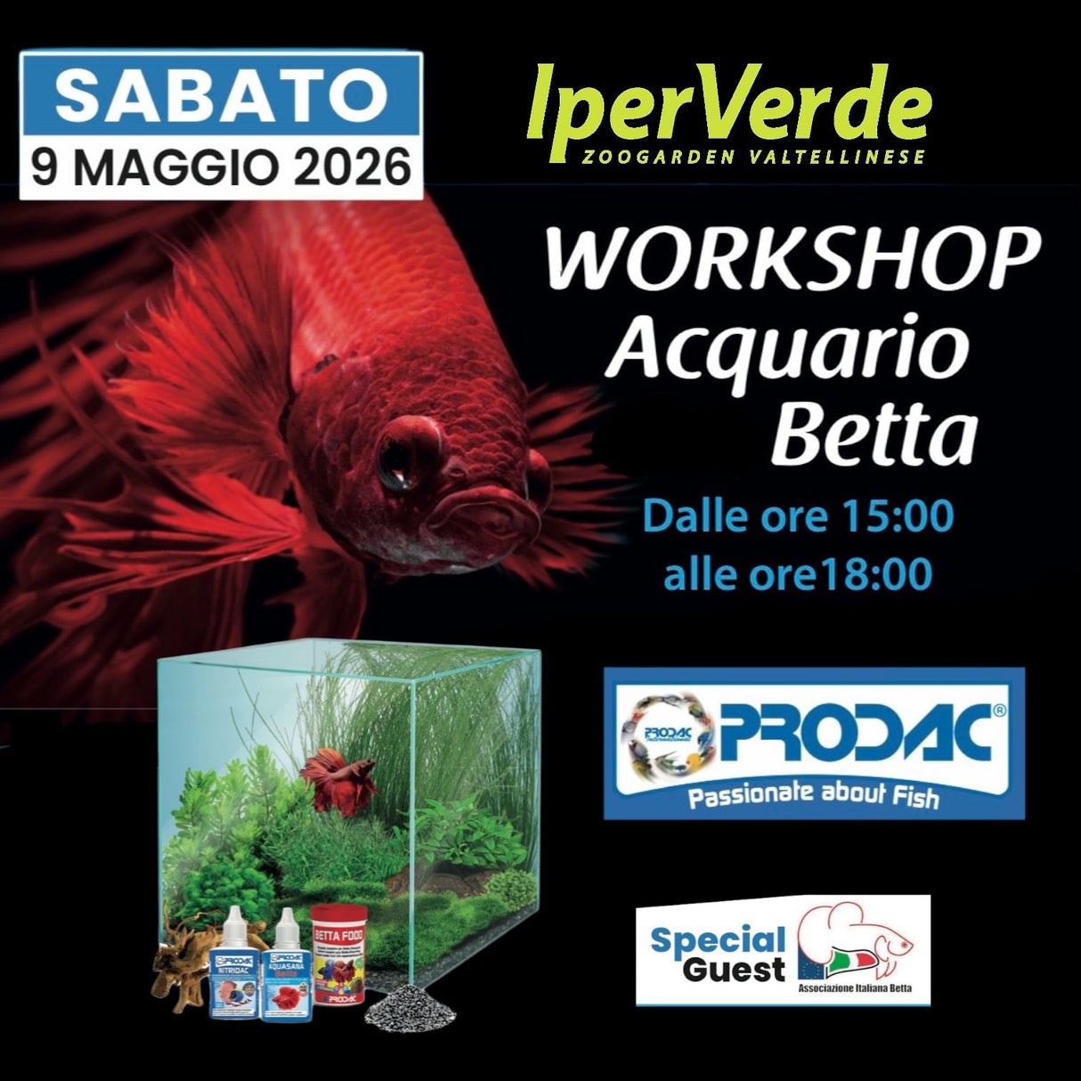 Workshop Aquario con Betta  - 09/05/2026 - Dalle ore 15.00 alle ore 18.00