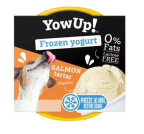 YOWUP FROZEN YOGURT BACON CAKE 110G - Iperverde