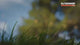 ROBOT TAGLIAERBA DA GIARDINO SUNSEEKER V3