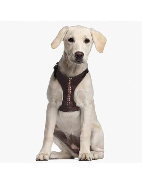 PETT. CHEWBACCA XXS/XS