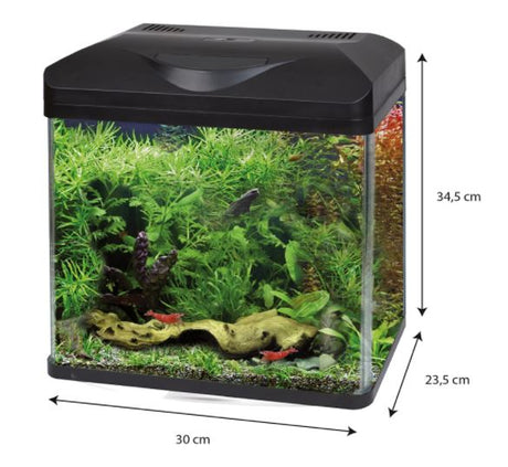 Acquario Amtra laguna LED 30 - Iperverde
