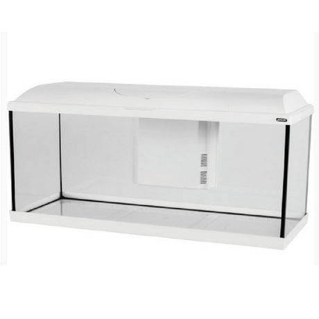 80 L white Iseo aquarium