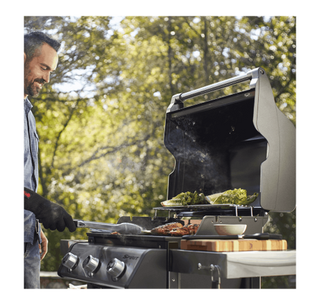 Barbecue Weber SPIRIT E-315 GBS