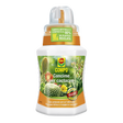 Concime liquido per cactus e piante grasse 250 ml - Iperverde