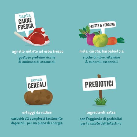 Edgard & Cooper - Adult crocchette Agnello fresco nutrito con erba senza cereali - Iperverde