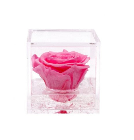 Rosa Stabilizzata Blu 8x8 cm Cubo in Vetro Con Confezione Regalo Festa Mamma