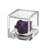 Flowercube rosa stabilizzata 6 cm