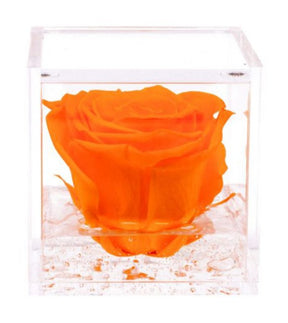 Flowercube rosa stabilizzata 8 cm - Iperverde