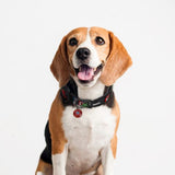 For Fan Pets Collare per cane Marvel