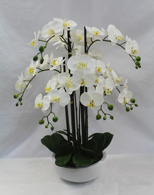 Orchidea artificiale in vaso bianco altezza 68 cm