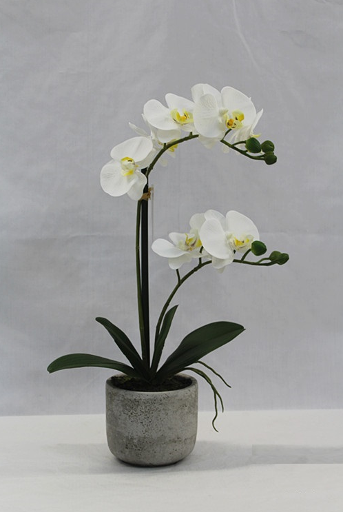 Orchidea artificiale in vaso bianco altezza 44 cm – Iperverde