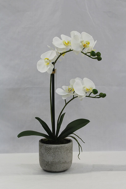 Künstliche Orchidee im weißen Topf, Höhe 44 cm