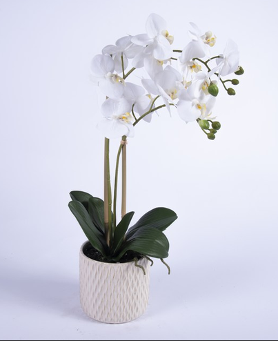 Artificial orchid in white pot, height 56 cm