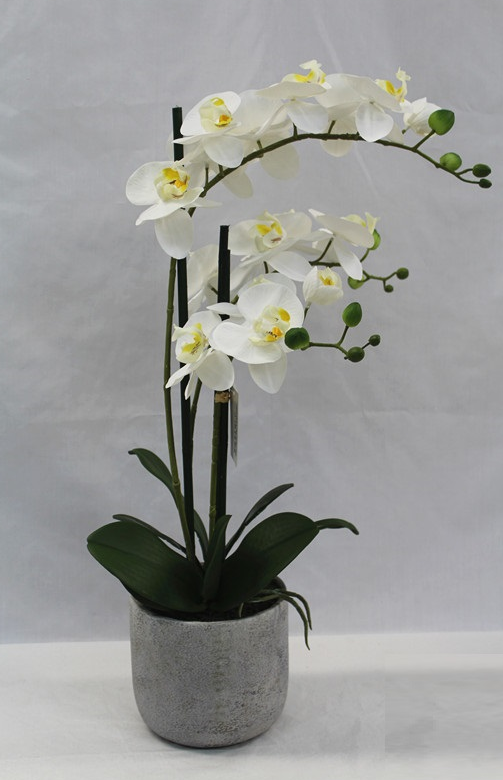 Orchidea artificiale in vaso bianco altezza 60 cm – Iperverde