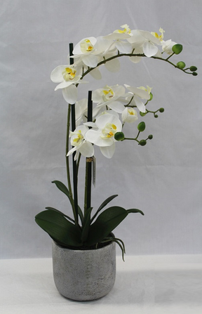 Orchidea artificiale in vaso bianco altezza 60 cm - Iperverde