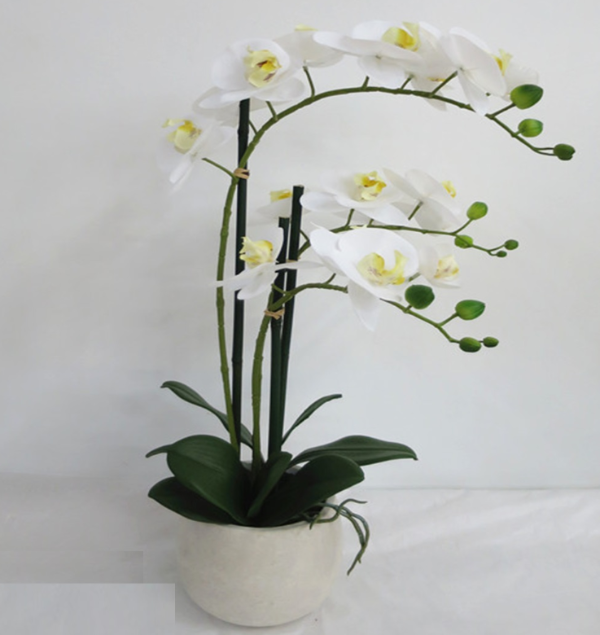 Orchidea artificiale in vaso bianco altezza 66 cm