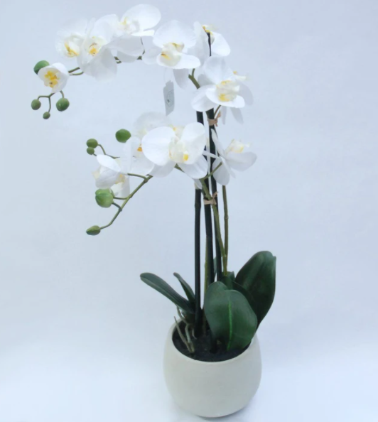 Artificial orchid in a white pot, height 66 cm