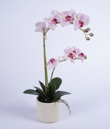 Artificial orchid in pink pot, height 60 cm