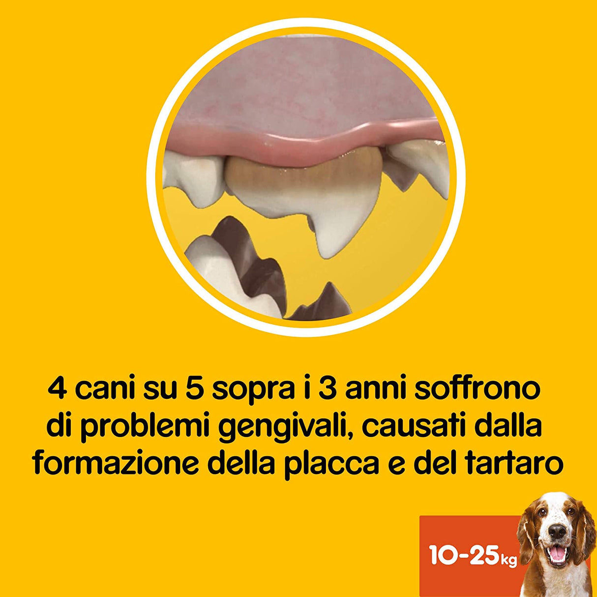Pedigree multipack Dentastix Medium 56 pezzi