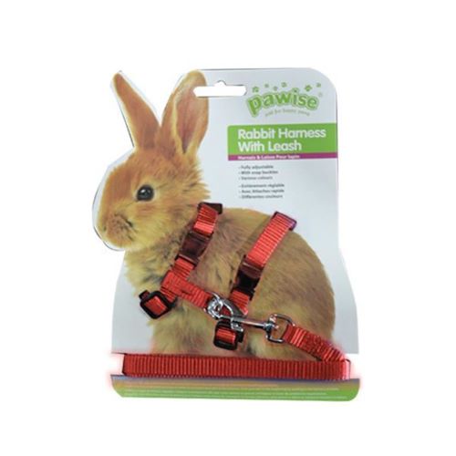 Harness with leash for rabbits and rodents in red nylon