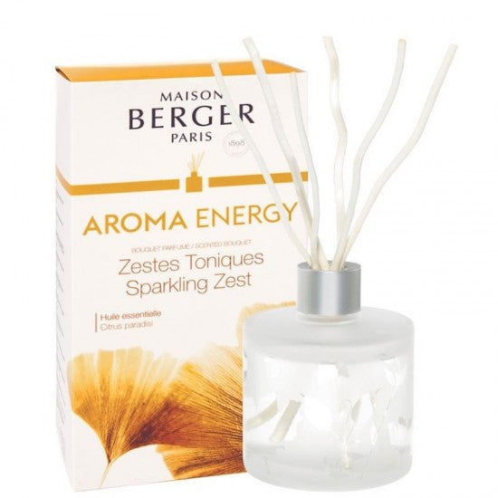 Profumatore a bastoncini aroma energy 180 ml