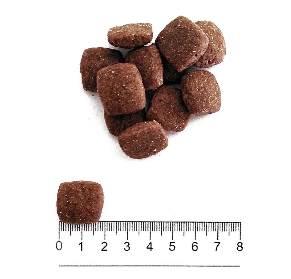 Prolife smart adult dog medium large manzo riso 12 kg