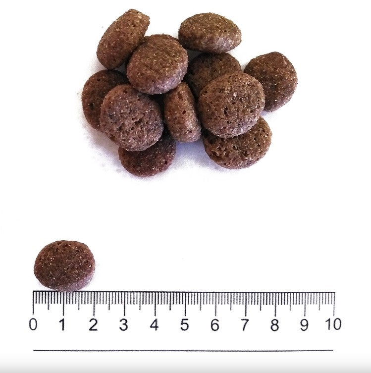 Prolife Smart Adult Dog Mittelgroße Forelle und Reis 12 kg