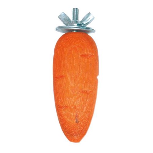 Rody nibbler carrot for rodents 2 units