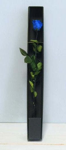 Rosa singola stabilizzata confezionata – Iperverde