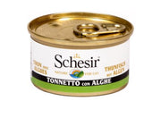 Schesir cat in jelly 85 gr