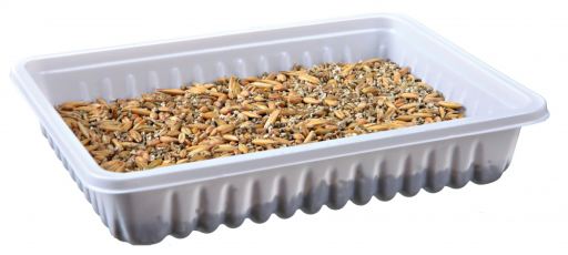 Small Pet Grass Seed Tray 100g - Trixie